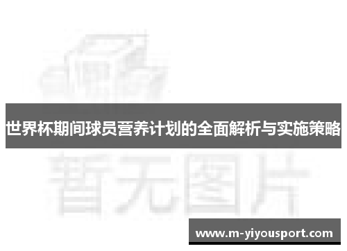 世界杯期间球员营养计划的全面解析与实施策略