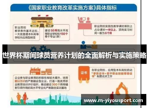 世界杯期间球员营养计划的全面解析与实施策略