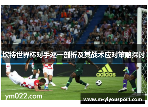 坎特世界杯对手逐一剖析及其战术应对策略探讨