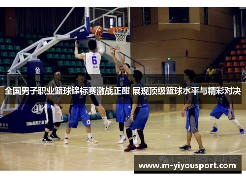 全国男子职业篮球锦标赛激战正酣 展现顶级篮球水平与精彩对决