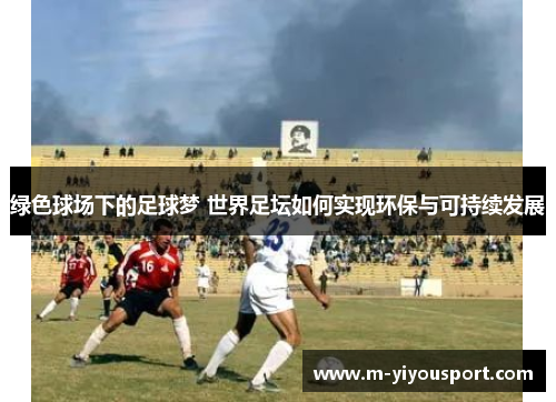 绿色球场下的足球梦 世界足坛如何实现环保与可持续发展