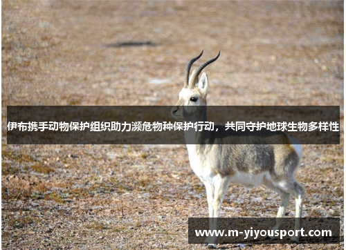 伊布携手动物保护组织助力濒危物种保护行动，共同守护地球生物多样性