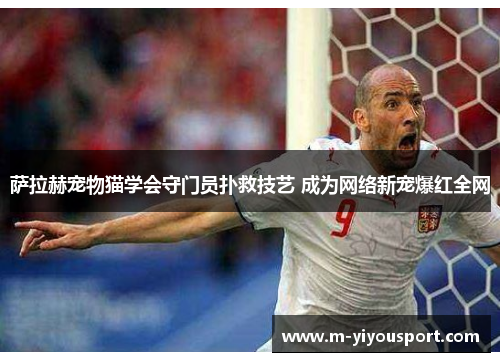 萨拉赫宠物猫学会守门员扑救技艺 成为网络新宠爆红全网