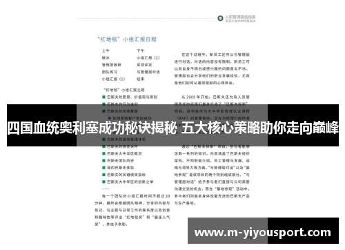 四国血统奥利塞成功秘诀揭秘 五大核心策略助你走向巅峰