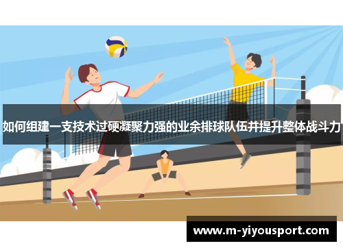 如何组建一支技术过硬凝聚力强的业余排球队伍并提升整体战斗力