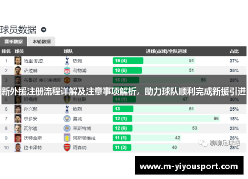 新外援注册流程详解及注意事项解析，助力球队顺利完成新援引进