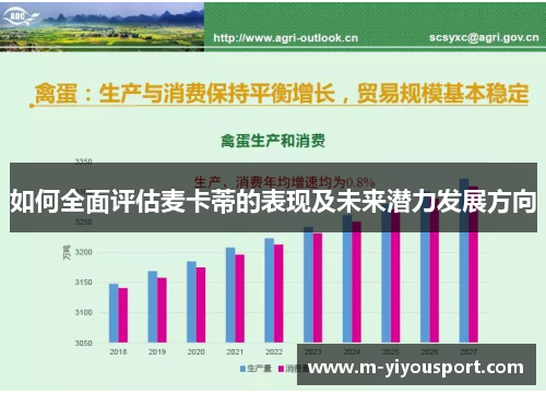 如何全面评估麦卡蒂的表现及未来潜力发展方向