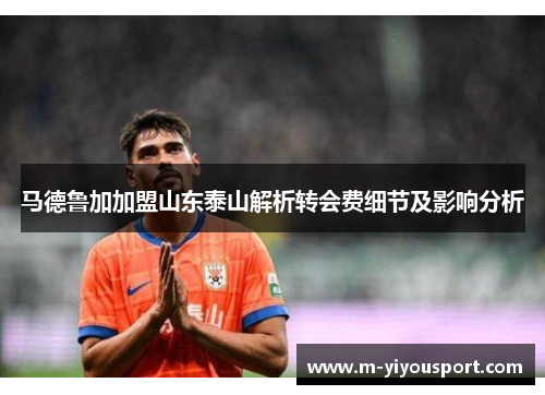 马德鲁加加盟山东泰山解析转会费细节及影响分析