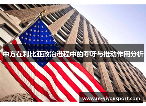 中方在利比亚政治进程中的呼吁与推动作用分析