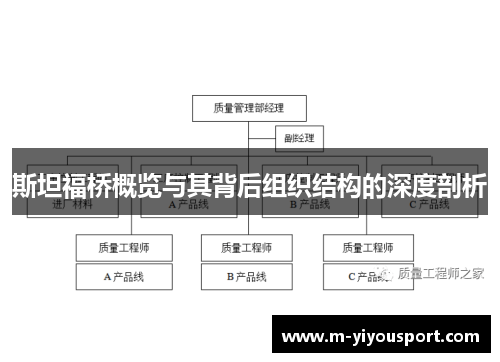 斯坦福桥概览与其背后组织结构的深度剖析